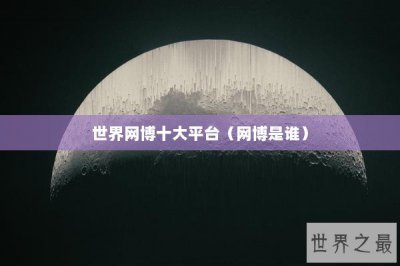 ​世界网博十大平台（网博是谁）