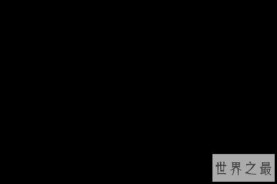 ​世界十大豪华球员名单（世界十大豪华球员名单）