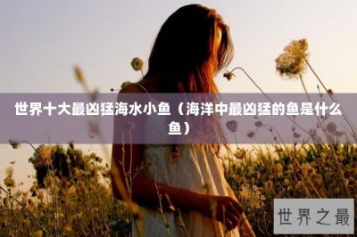 ​世界十大最凶猛海水小鱼（海洋中最凶猛的鱼是什么鱼）