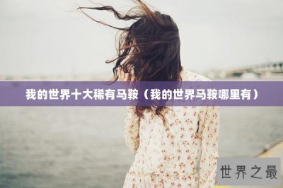 ​我的世界十大稀有马鞍（我的世界马鞍哪里有）