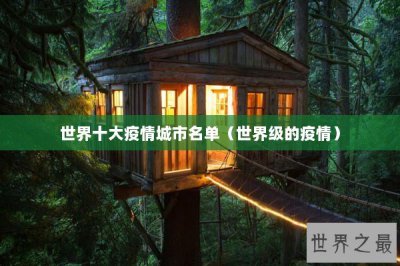 ​世界十大疫情城市名单（世界级的疫情）