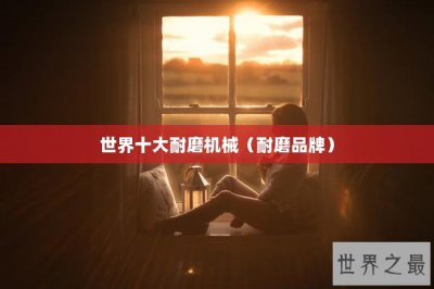 ​世界十大耐磨机械（耐磨品牌）