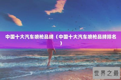 ​中国十大汽车喷枪品牌（中国十大汽车喷枪品牌排名）