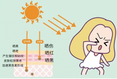 ​夏天什么防晒霜比较好用清爽（适合夏天的防晒霜有哪些？安耐晒最火，兰蔻清爽