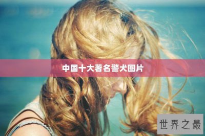 ​中国十大著名警犬图片