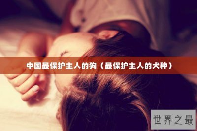 ​中国最保护主人的狗（最保护主人的犬种）