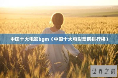 ​中国十大电影bgm（中国十大电影票房排行榜）