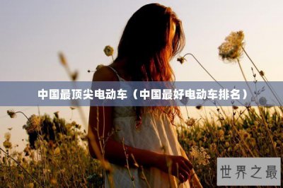 ​中国最顶尖电动车（中国最好电动车排名）