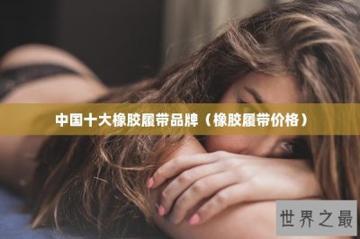 ​中国十大橡胶履带品牌（橡胶履带价格）
