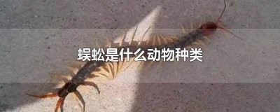 ​蜈蚣什么动物类型 蜈蚣是属于什么类的动物