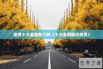 ​世界十大金刚有几种（十大金刚图片欣赏）