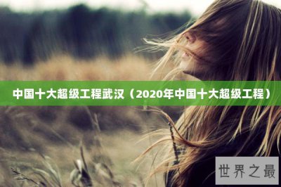 ​中国十大超级工程武汉（2020年中国十大超级工程）