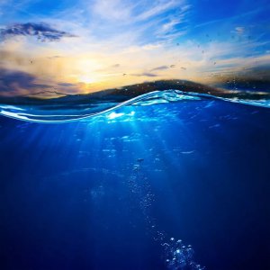 ​海水为什么是蓝的原文（静谧深蓝，你知道海水为什么是蓝色的吗？）