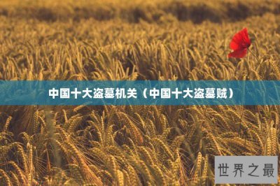 ​中国十大盗墓机关（中国十大盗墓贼）