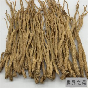 ​党参的功效与作用是什么？它是一种带有乳汁的中药