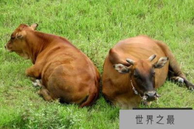 ​孙尚香和刘备结婚三年，为什么不生个一儿半女？