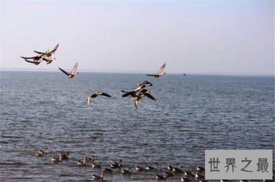 ​中国最大的淡水湖，与长江相通具有丰富自然资源