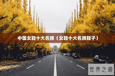 ​中国女鞋十大名牌（女鞋十大名牌鞋子）