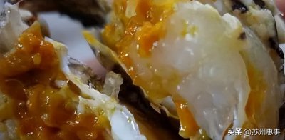 ​大闸蟹母蟹和公蟹哪个好(阳澄湖大闸蟹系列｜公蟹和母蟹哪个更好吃？)