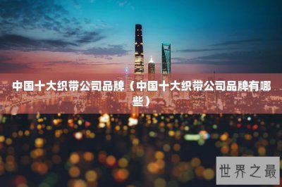 ​中国十大织带公司品牌（中国十大织带公司品牌有哪些）