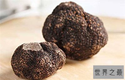 ​松露是什么 有人表示闻起来像是精液的味道