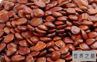 ​酸枣仁的副作用，易过敏体质的人最好不要吃