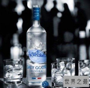 ​世界上酒精度最高的酒，酒精度到达96度并且经过连续蒸馏