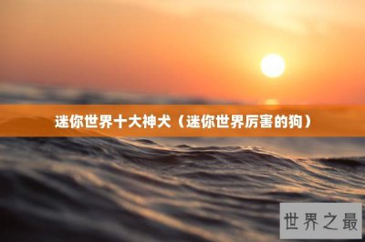 ​迷你世界十大神犬（迷你世界厉害的狗）