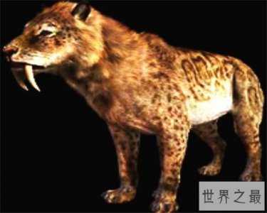 ​异剑齿虎已经灭绝，曾是两种猫科动物的结合