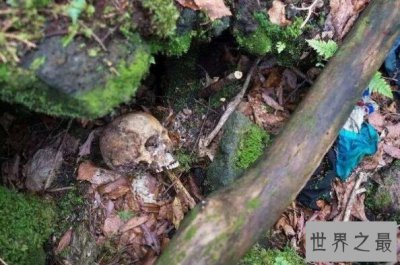 ​地球上10大最毛骨悚然的恐怖地带 军舰岛上榜，第一是“自杀森林”