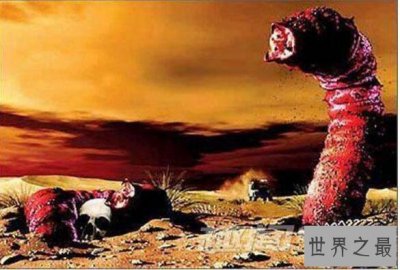 ​盘点世界十大奇异生物，蒙古死亡之虫隔空杀人