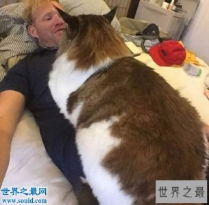 ​目前世界上最大的猫咪，身长1.22米(重25斤)