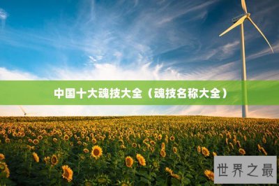 ​中国十大魂技大全（魂技名称大全）
