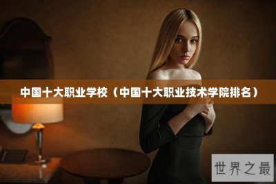 ​中国十大职业学校（中国十大职业技术学院排名）