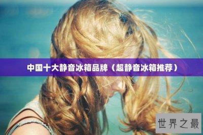 ​中国十大静音冰箱品牌（超静音冰箱推荐）