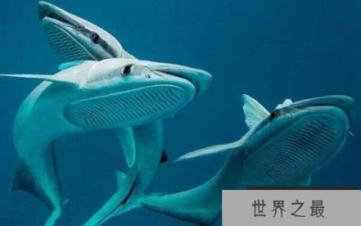 ​世界上最奇葩的鱼类，水滴鱼会把小孩丑哭