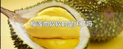 ​榴莲果肉是软的吗 榴莲肉应该是硬的还是软的