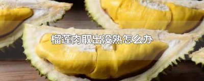 ​榴莲肉取出没熟怎么办 榴莲肉取出没熟怎么办视频