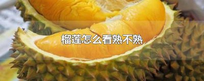 ​榴莲怎么样看熟不熟 榴莲怎么看熟不熟?