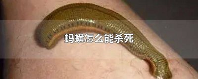 ​蚂蟥能用开水煮死吗 多少度的水可以杀死蚂蟥