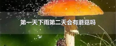 ​晚上下雨了第二天会有蘑菇吗 下雨后第几天出蘑菇