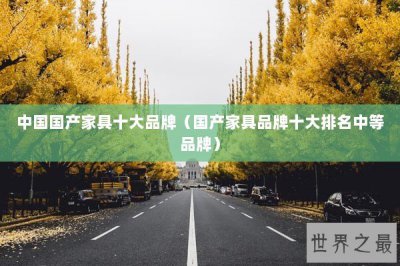 ​中国国产家具十大品牌（国产家具品牌十大排名中等品牌）