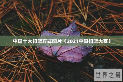 ​中国十大扣篮方式图片（2021中国扣篮大赛）