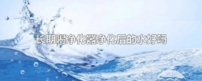 ​净化器净化过的水可以直接喝吗 经常喝净化器的水好吗