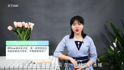 ​ow潜水证有什么用 ow是什么潜水证