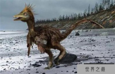 ​伤齿龙是世界上最聪明的恐龙 像狐狸一样狡猾