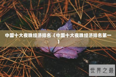 ​中国十大夜晚经济排名（中国十大夜晚经济排名第一）