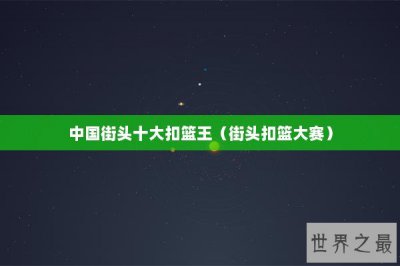​中国街头十大扣篮王（街头扣篮大赛）