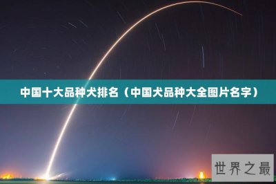 ​中国十大品种犬排名（中国犬品种大全图片名字）