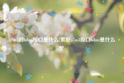 ​a7m3的hdmi接口是什么(索尼a7m3接口hdmi是什么型)